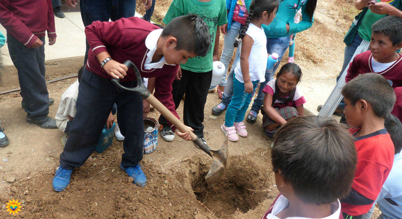 Luis De La Calle Foundation Luis De La Calle Foundation